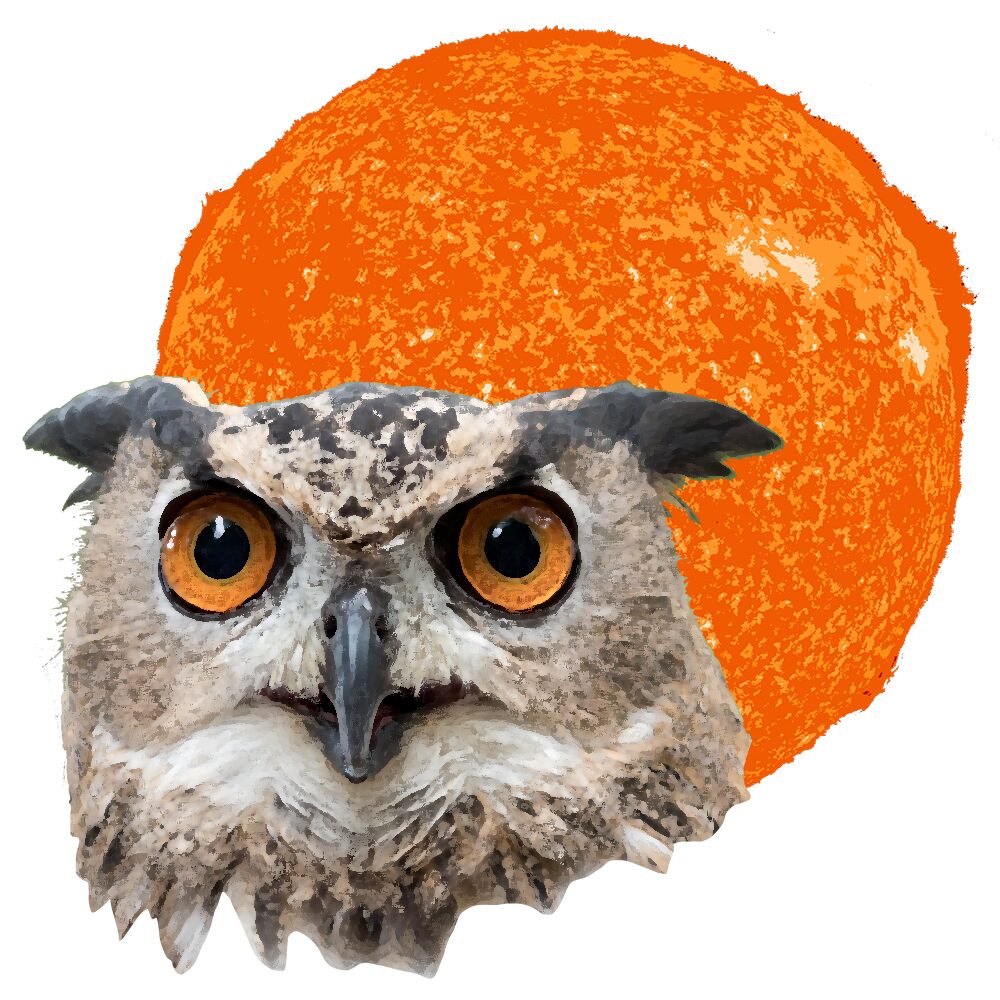 Alice Hampton Dickerson Art - Owl Sun