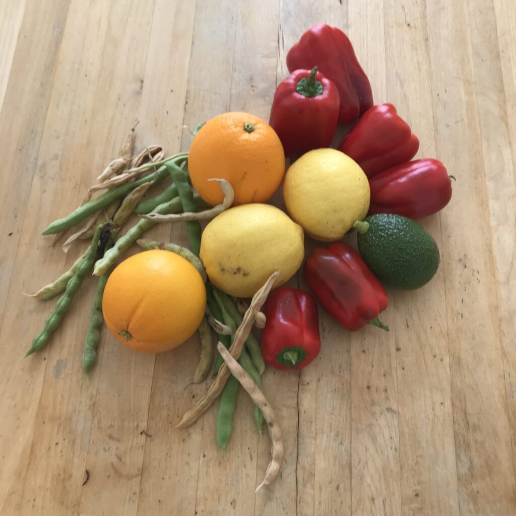 Alice Hampton Dickerson Gardens - Harvest
